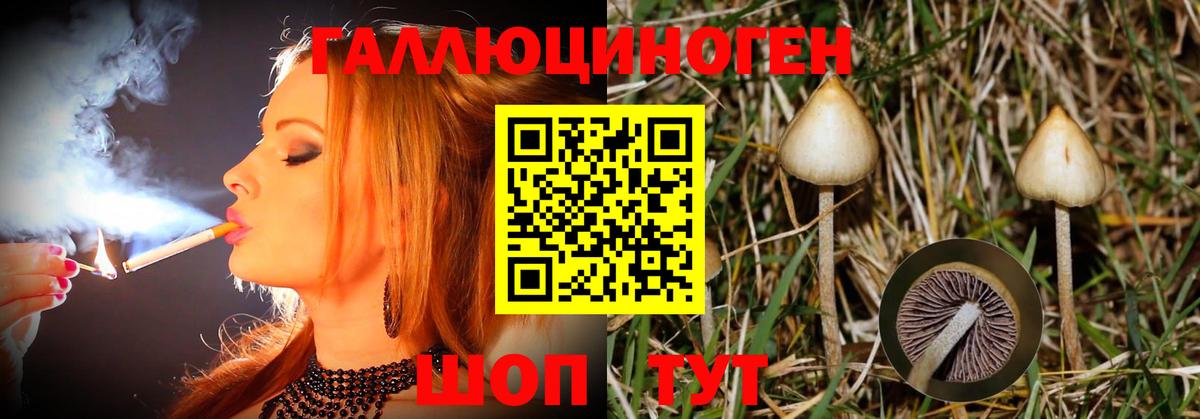 Лесосибирск  Псилоцибиновые грибы GOLDEN TEACHER  Вход с VPN 
